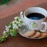 عزة الجيجكلي 的头像
