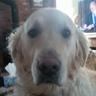 Dave3's profile picture