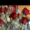 Фото профиля فنار العبد الله