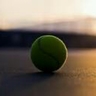 maximus_ali 🇨🇦's profile picture