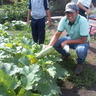 Carlos Francisco G's profile picture