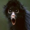 Billy Evans's profile picture
