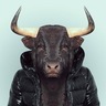 Anti خerfanization's profile picture