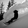 Фото профиля Sean McNally