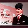 İnsanTürkÜlkücü🇹🇷 的头像