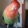 めるま's profile picture