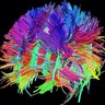 Dardennes 的头像