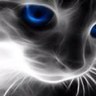 Cathy Watkins's profile picture