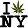 NY Stoner's profile picture