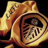 Andrew Butterwick's profile picture