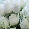 Фото профиля نـقـــ روح ــــيه