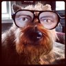 Declan Flattery's profile picture