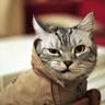 Profilbild von P_S