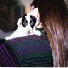 Susie Tharp's profile picture