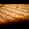الحربي profil fotoğrafı