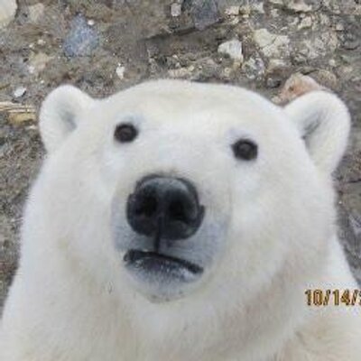 hurf's profile picture