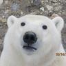 hurf's profile picture