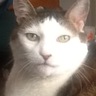 Profilbild von Tim