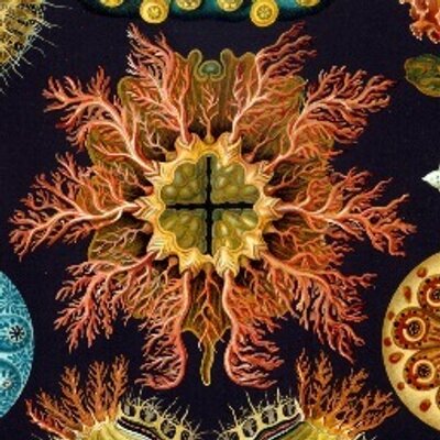 PrakashLab's profile picture