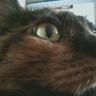 sean l's profile picture