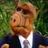 Profilbild von dave