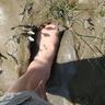 Barefoot Steve's profile picture