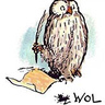 Profilbild von Lyrical Owl
