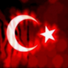 Mustafa Kemal's profile picture
