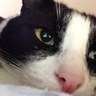 Kat 的头像