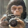 Stephen Carr profil fotoğrafı