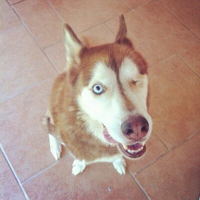 Peter W. Miller's profile picture
