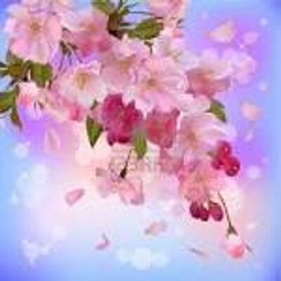 jalybaby1's profile picture