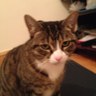 zeyno3 profil fotoğrafı