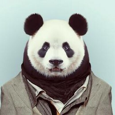 muybastxs's profile picture