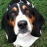 Rhu Rhu's profile picture