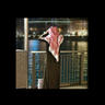 علي عايض علي profil fotoğrafı