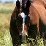 Judy Wintle's profile picture