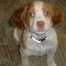 Ralston II's profile picture