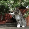 aylin profil fotoğrafı