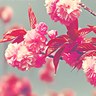 غيم ومطر's profile picture