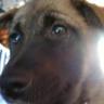 taro's profile picture