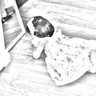 إشرآقة أمل profil fotoğrafı