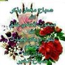 صالح عبد الله's profile picture