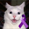 Sukie's profile picture