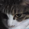 たまこ1212 profil fotoğrafı