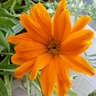 Profilbild von lana fletcher