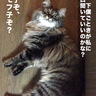 HidariKagetora 的头像