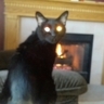 Pxxmela's profile picture