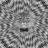 Count Gustav's profile picture