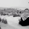 Profilbild von عقاب